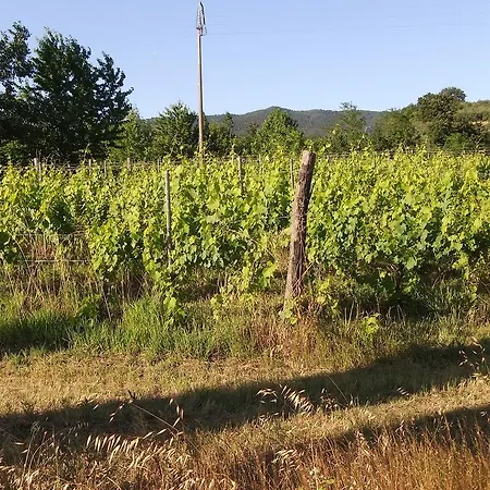 Tenuta Le Colonie *