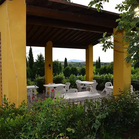 Tenuta Le Colonie * Vinci